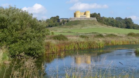 Walk On the Wild Side! – Well Being Wednesday Blog