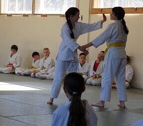 I do Aikido – you can too!