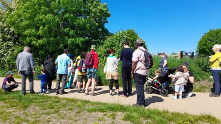 Walkfest Bee Friendly Wildflower Walk May