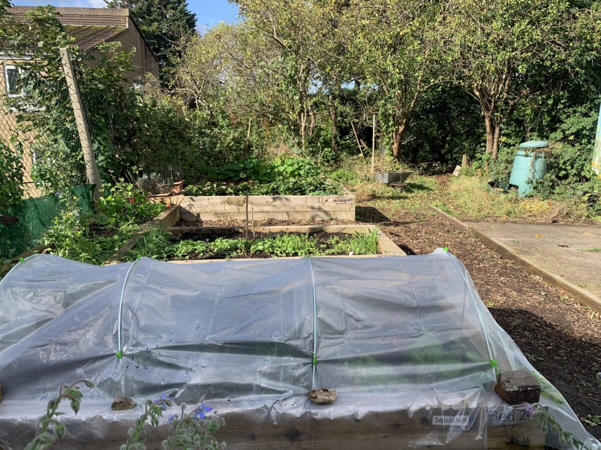 Oct Poly tunnel.jpg