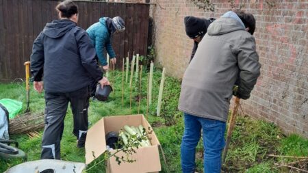 Tree Planting at Constable Road Gardens