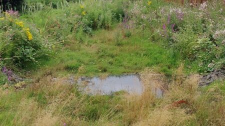 Blooming Lockleaze walk