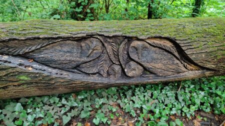 Mindful walk in Stoke Park