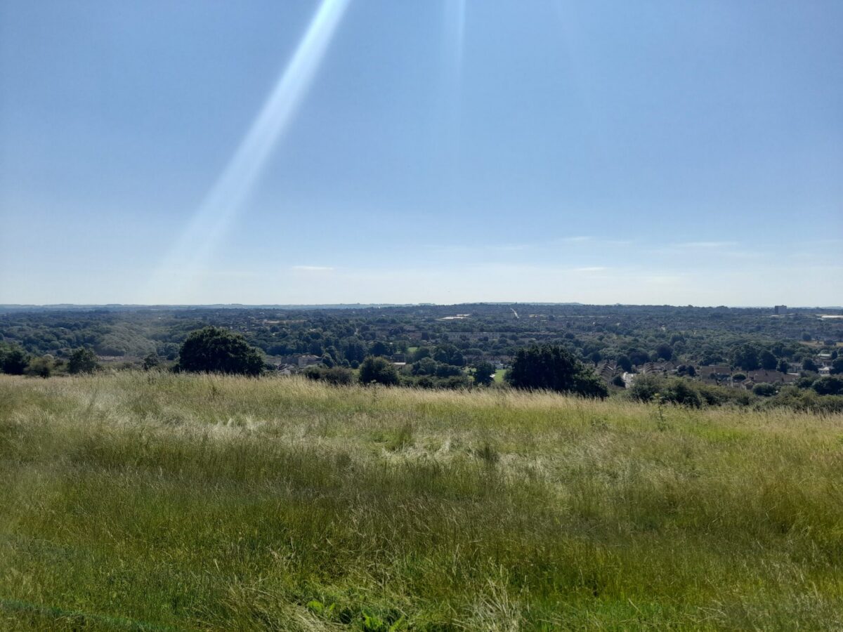 20240719_103821.jpg