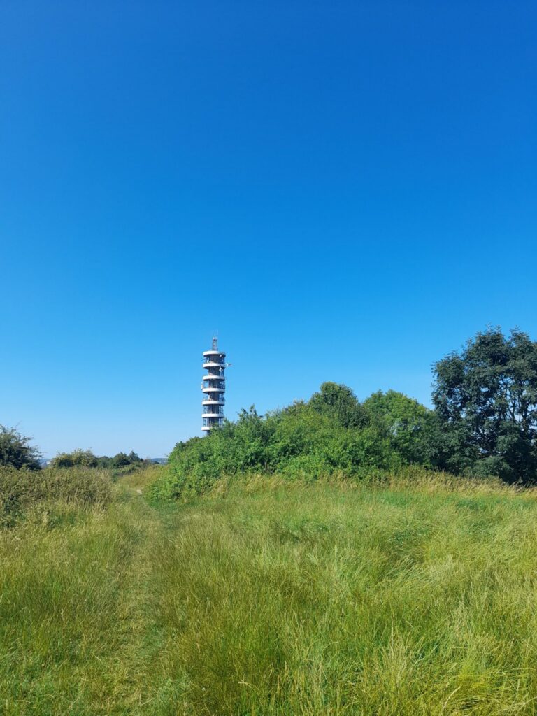 20240719_103852.jpg