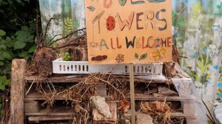 It’s National Allotments Week!