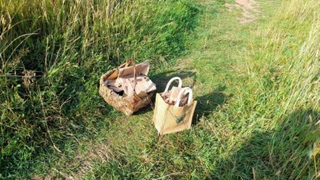 Wildflower Seed Collecting!