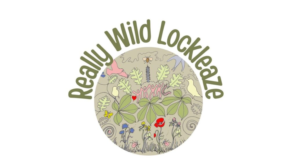 Really Wild Lockleaze green (1).jpg