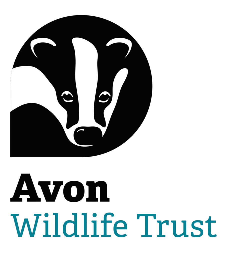 AVON_LOGO_STACKED_COLOUR.png