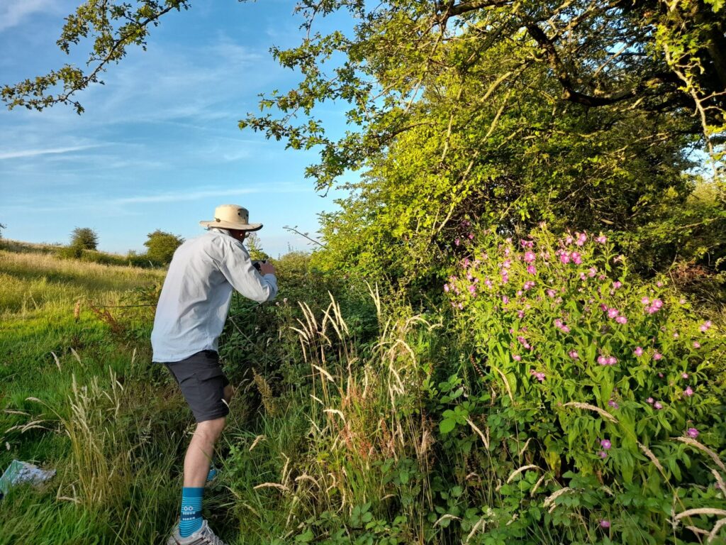A person looking at plants at Stoke Park in the sun