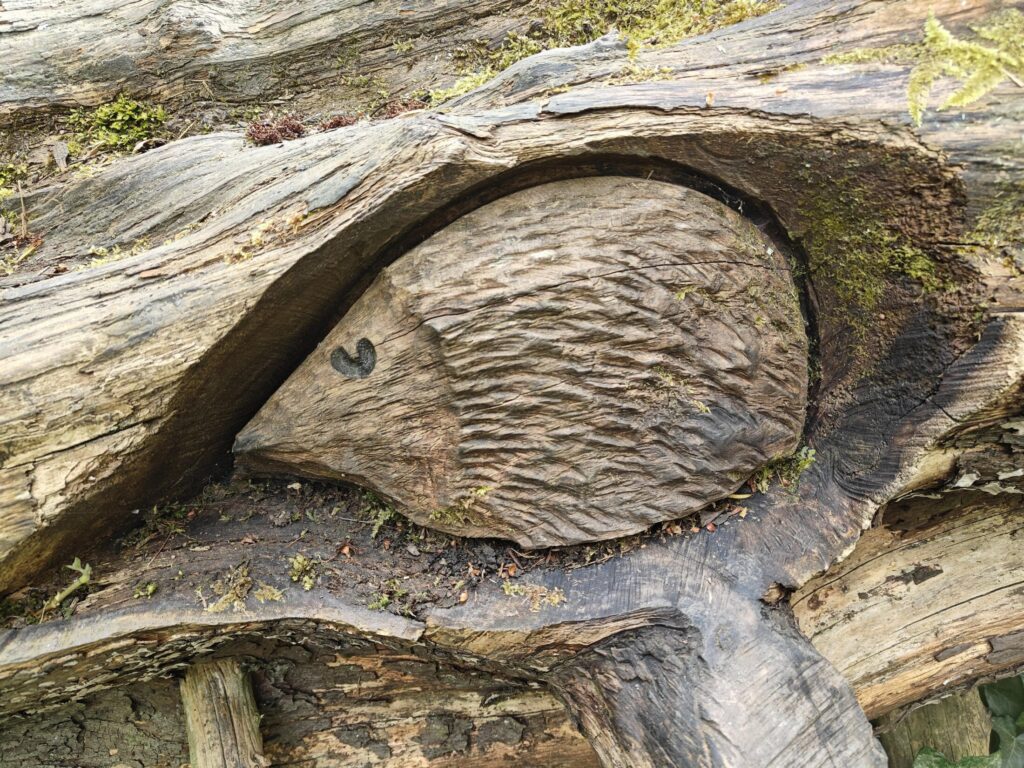 Hedgehog sculpture