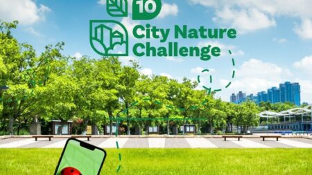 Take Part in the City Nature Challenge in Lockleaze