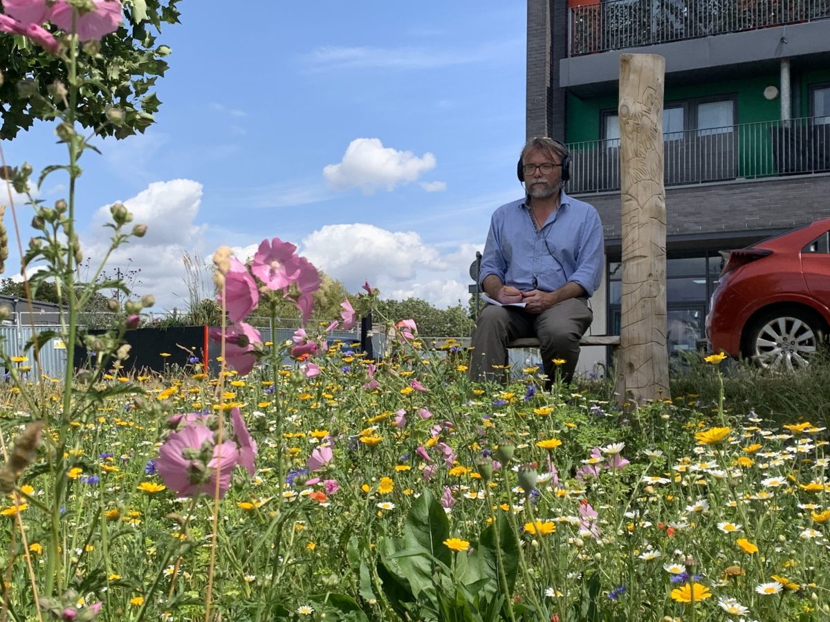 A man sits on a carved bench behind a wildflower meadow in front of the Hub.