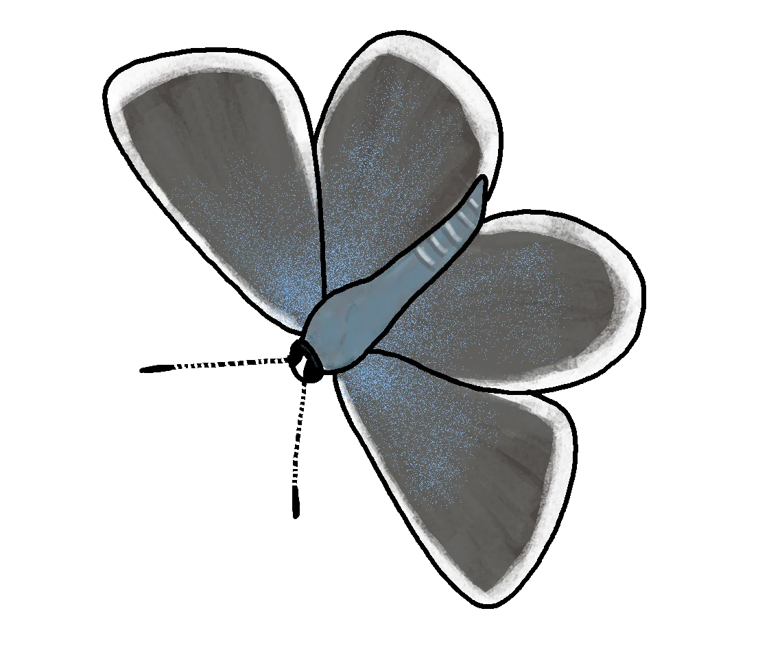 drawing of small blue butterfly