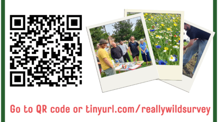 Tell us your thoughts about Really Wild Lockleaze, and win a £50 voucher!