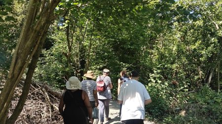 Wellbeing Walks Go Weekly