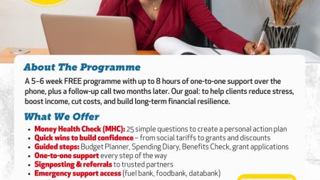Money Guidance and Peer Training
