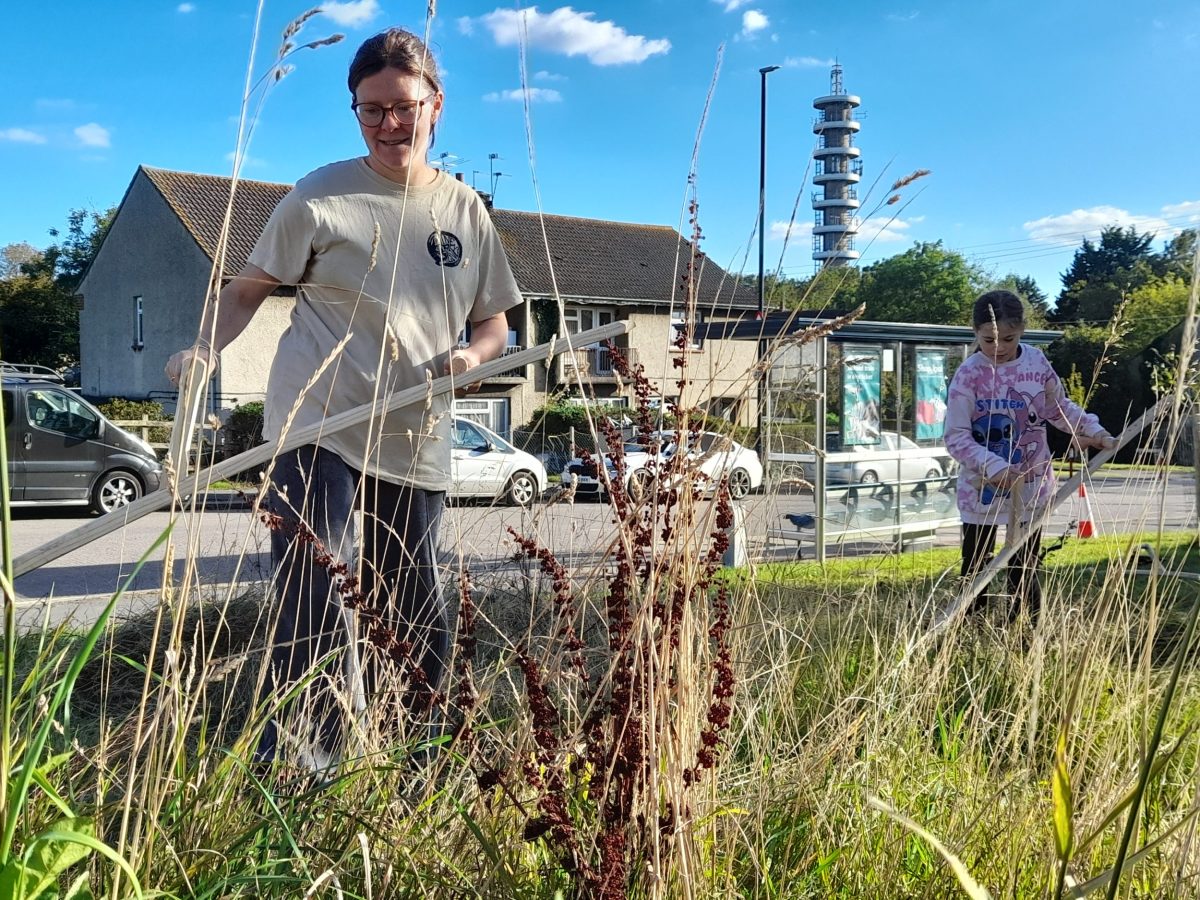 A mother and daughter use scythes. There are wild grasses in front of them. Purdown tower is in the background.