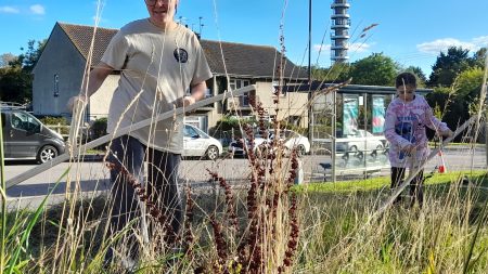 Really Wild Lockleaze: October Newsletter