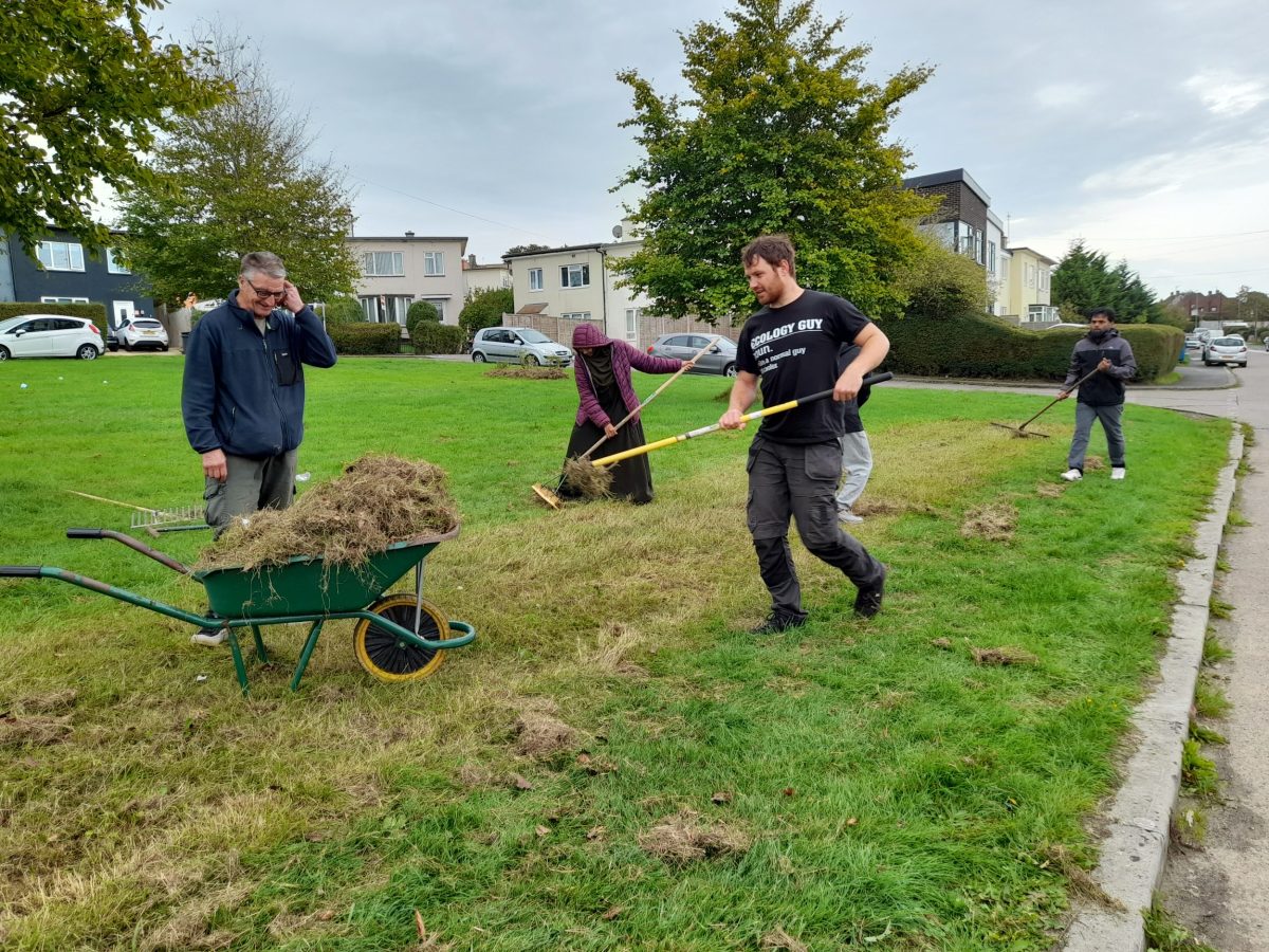 Two men rake grass into a wheelbarrow while a man and a woman wearing hijab scythe behind them