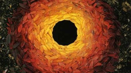 Wellbeing Walk: Art Walk in Stoke Park