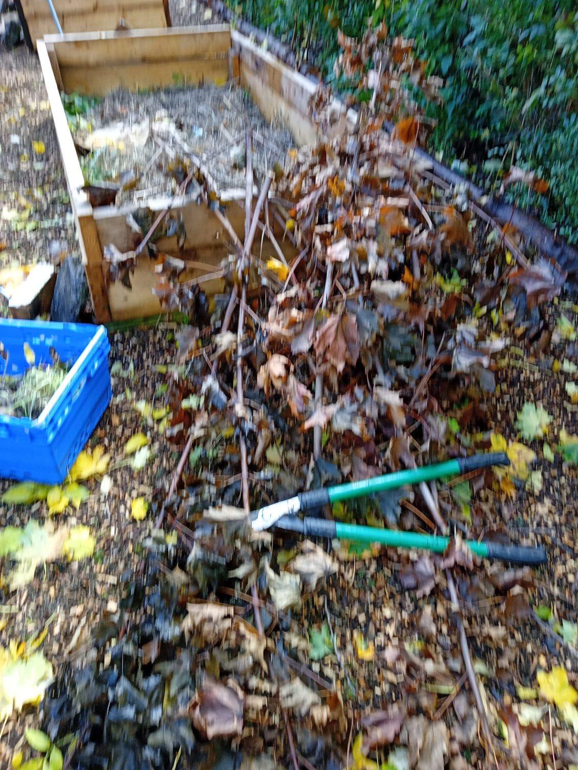 shears on damp sticks