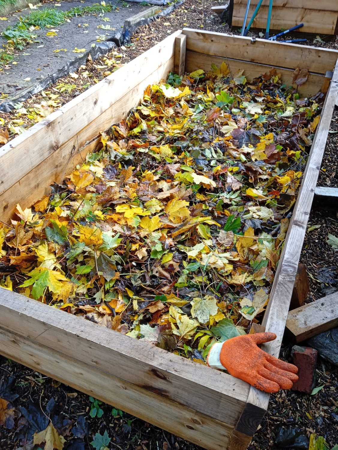 a raised bed with a layer of autumn leaves