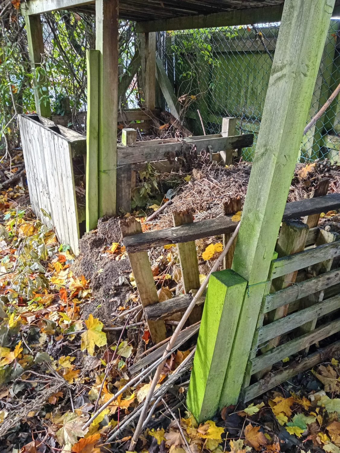a compost collecting area built out of wood