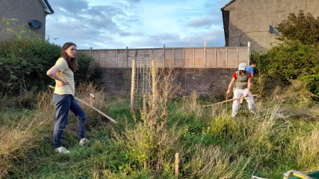 Really Wild Wednesdays: Fortnightly Outdoor Volunteering