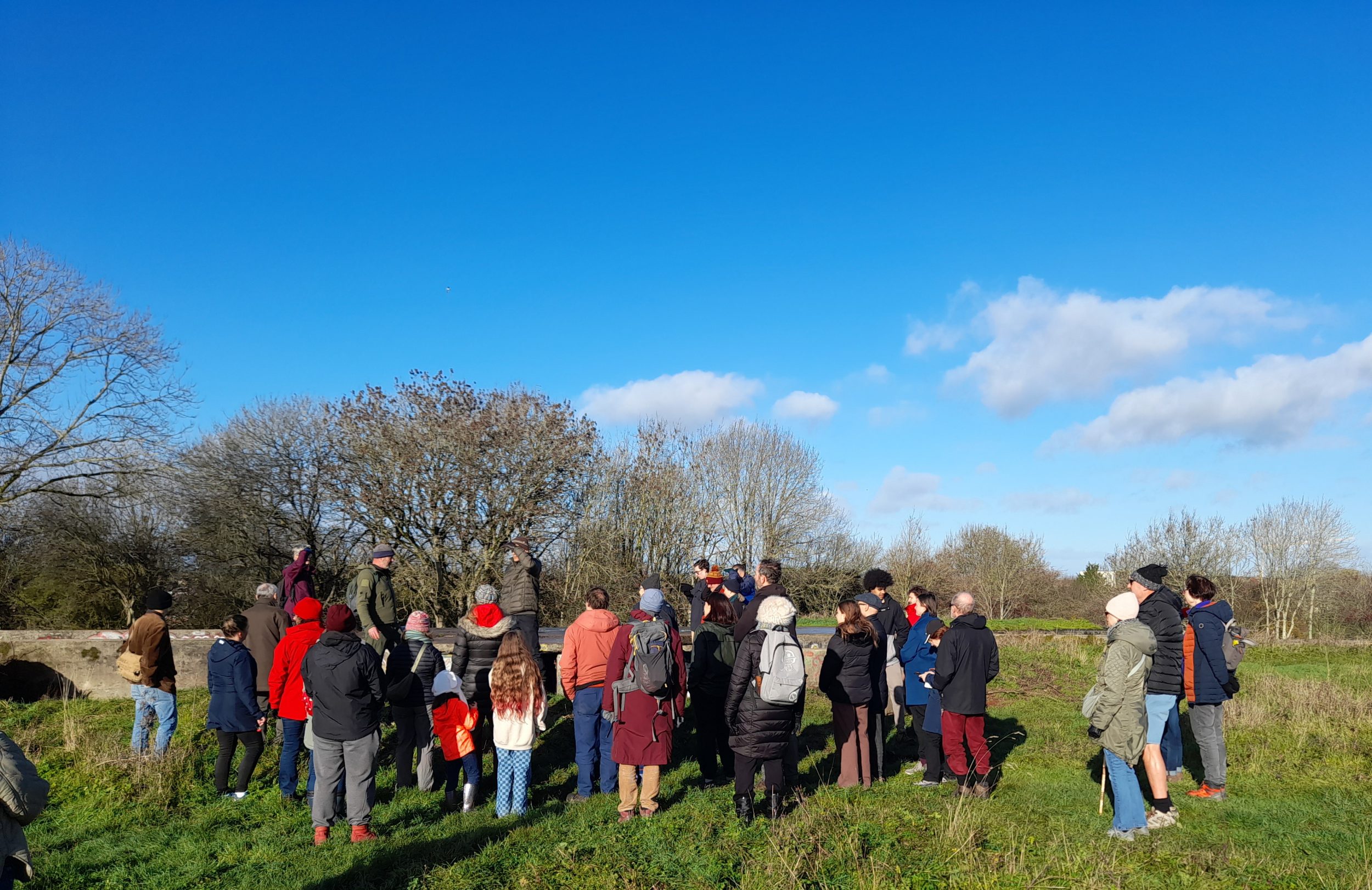 walkers of all ages face towards leafless winter trees