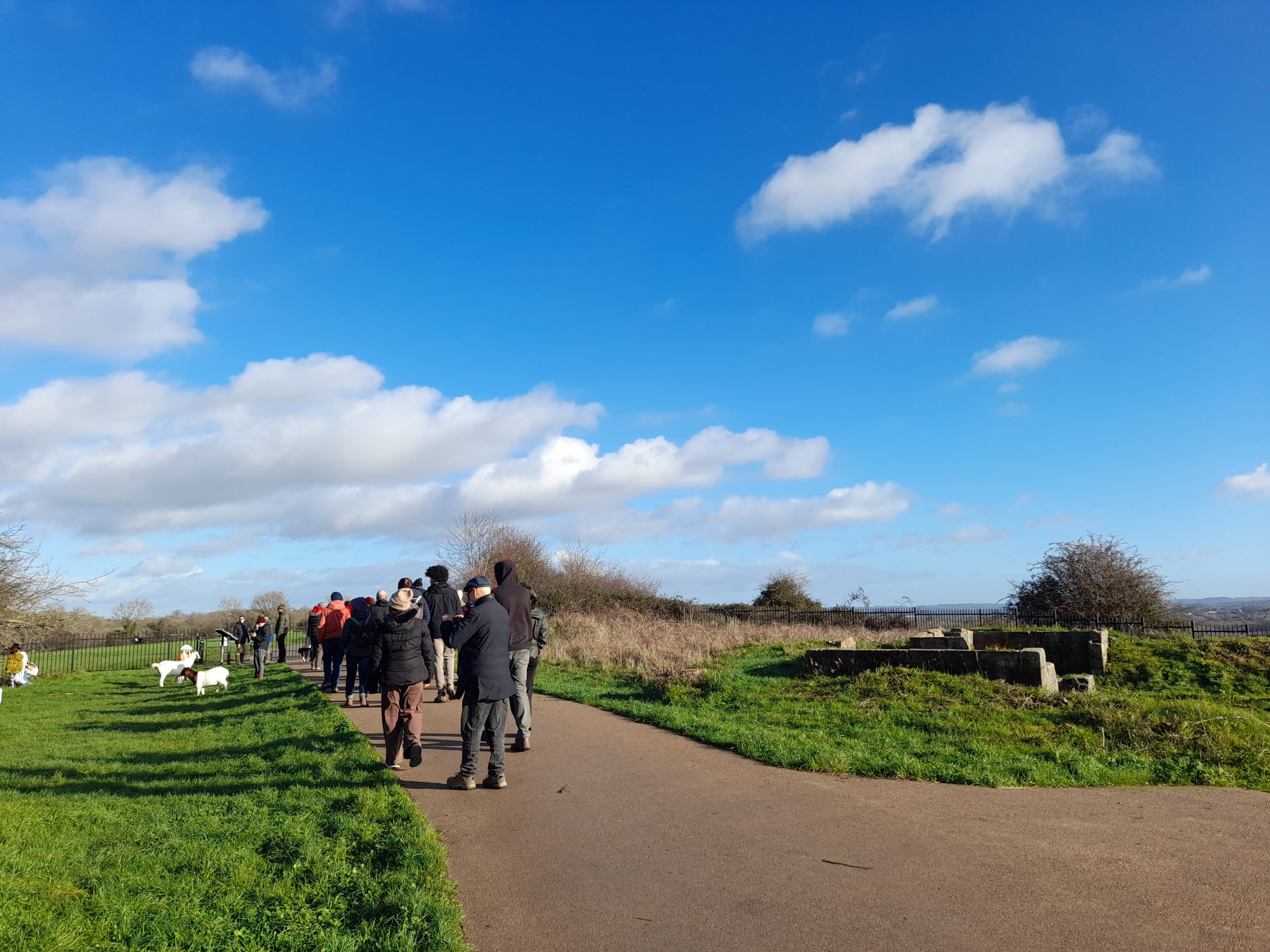 walkers walk along the top of purdown with goats