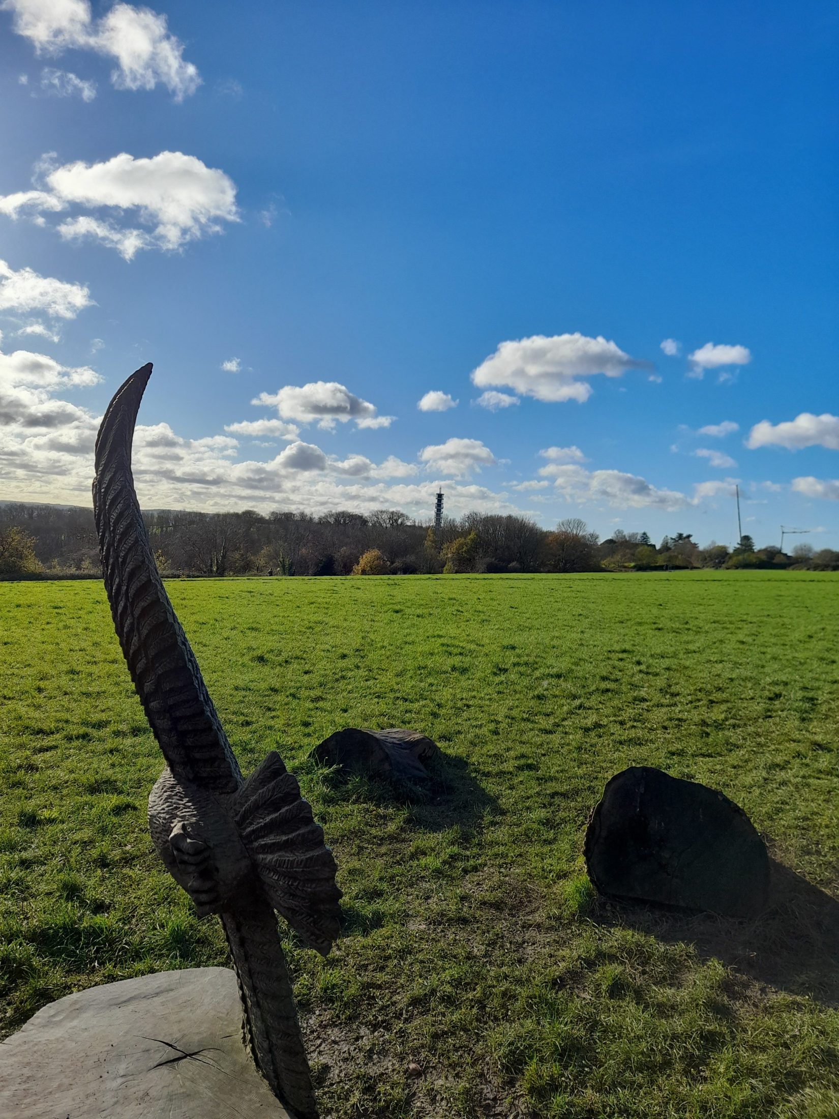 a wooden sculpture of a buzzard against a blue sky with purdown tower in the background