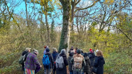 Terrific Trees Walk on a Tuesday