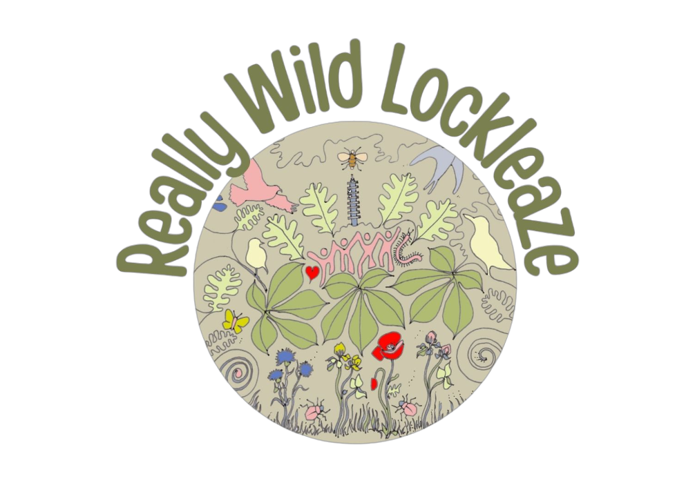 rwl logo