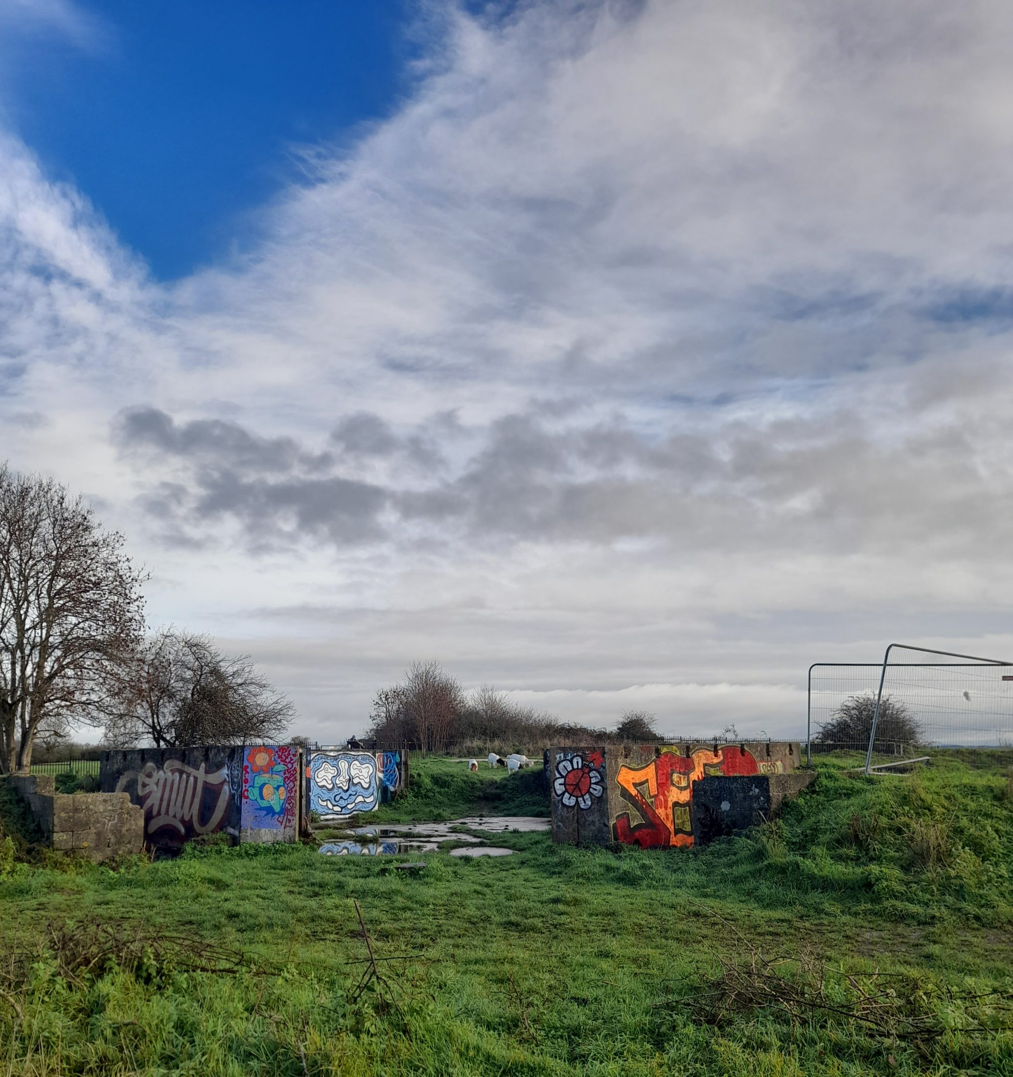 the purdown gun battery, a series of square concrete structures heavily graffitid in colour, in front of a large blue sky