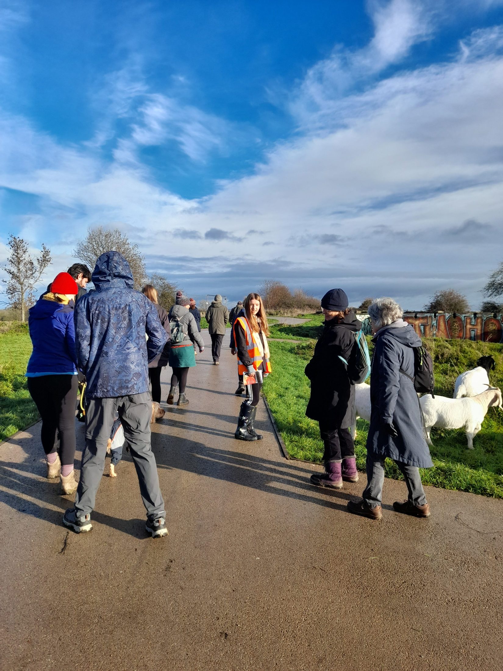people gather on a path with two white goats