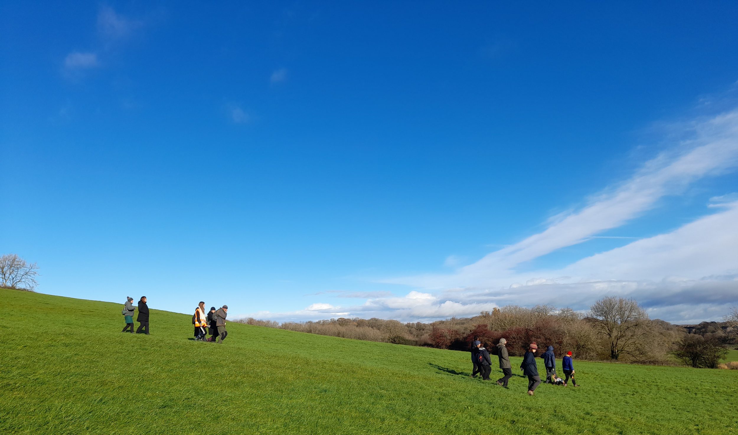 clumps of walkers are distributed along a long slope