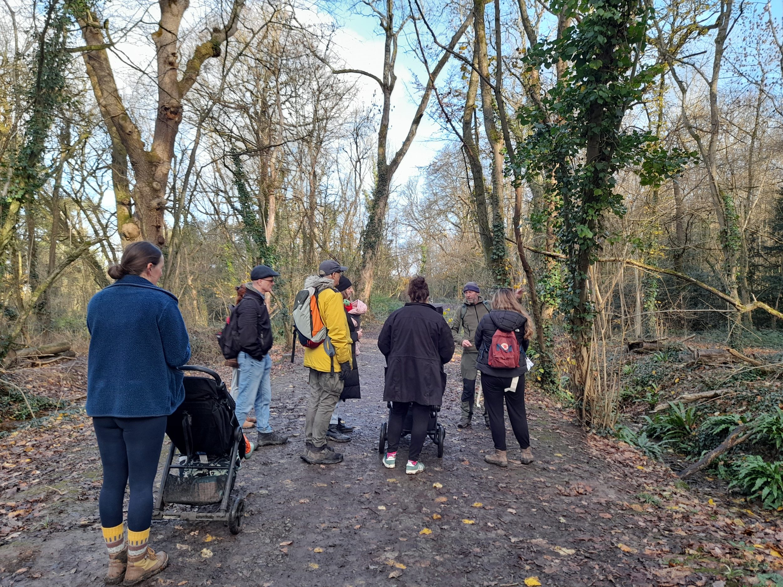 people with two push/wheelchairs walk along a wide path in woodland