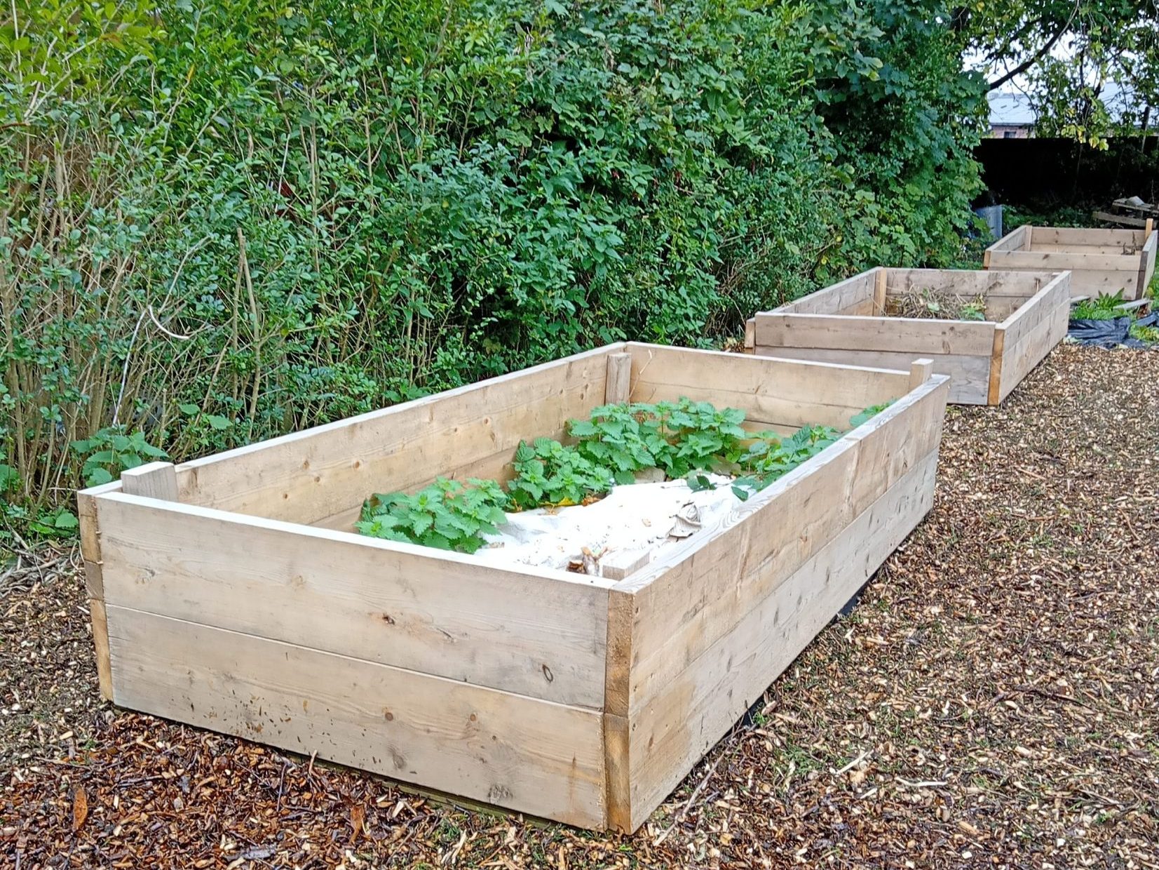 three raised beds with weed suppresant cloth