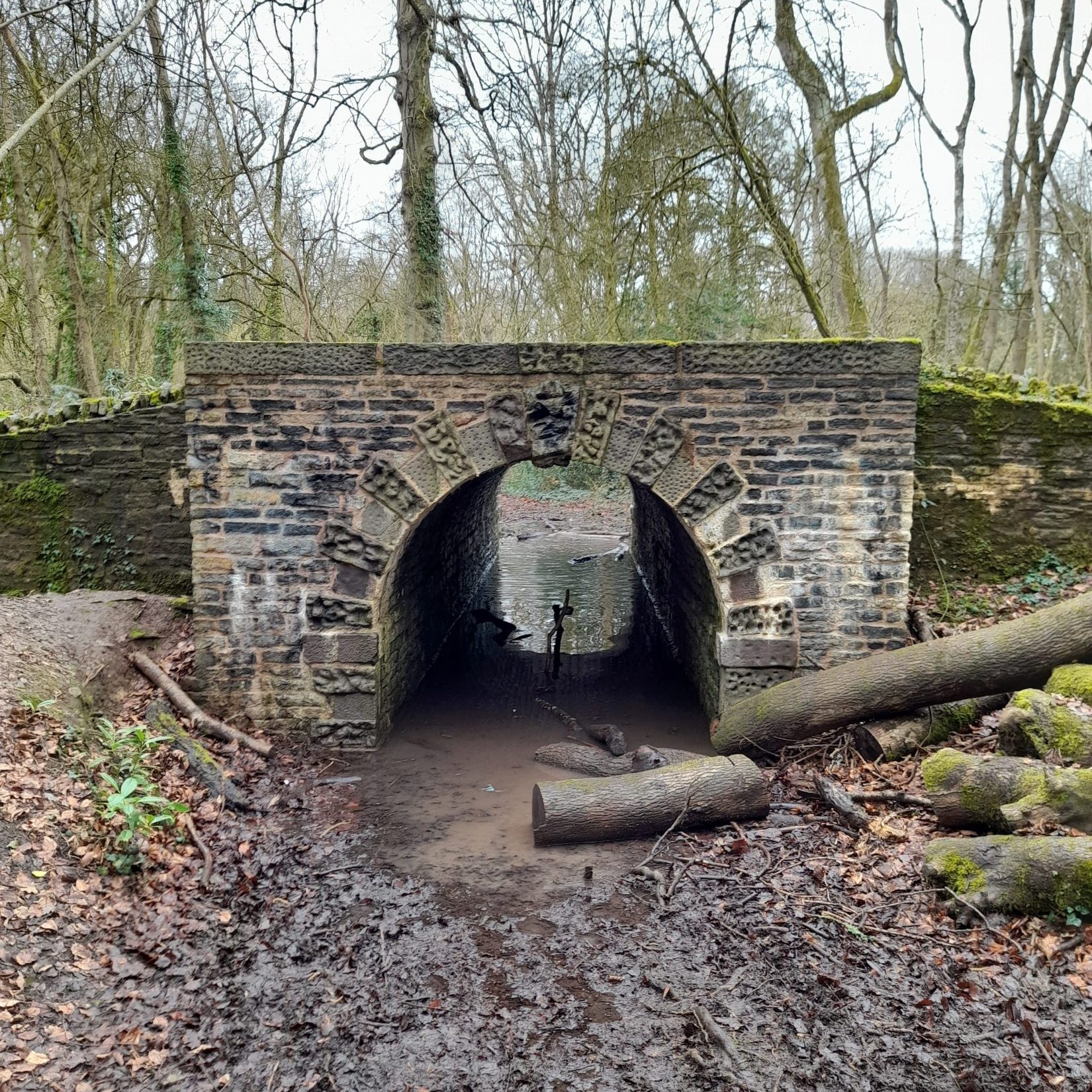 an arched stone bridge over a muddy stream