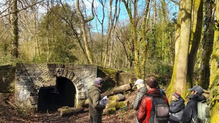 Final Stoke Park Project Walk- a Feast of Features and Creatures