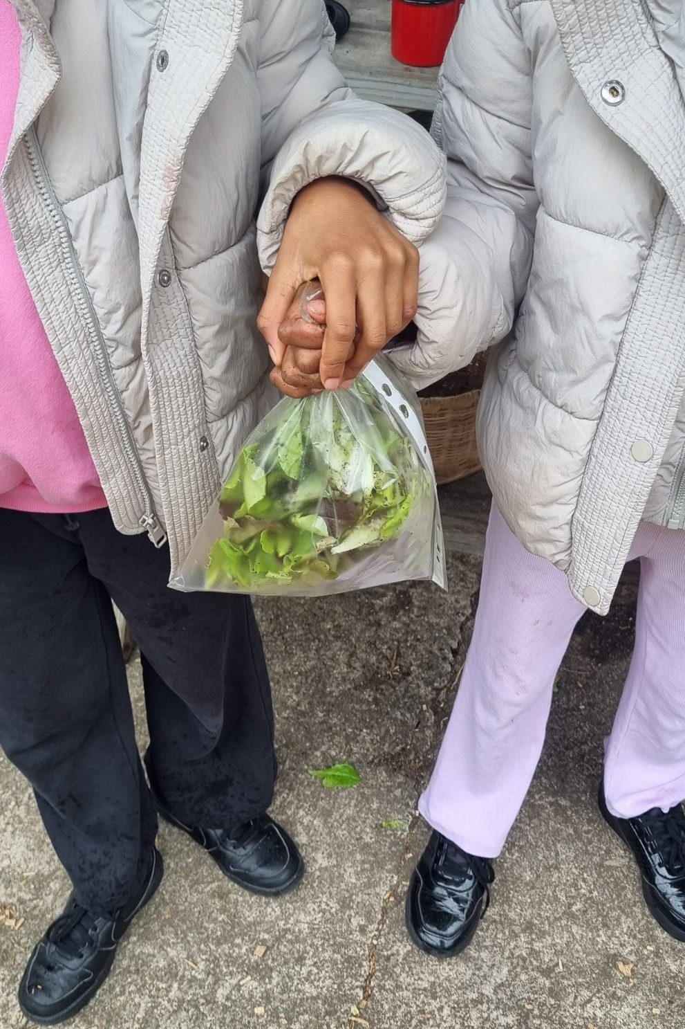 two girls hold hands over a poly pocket of salad