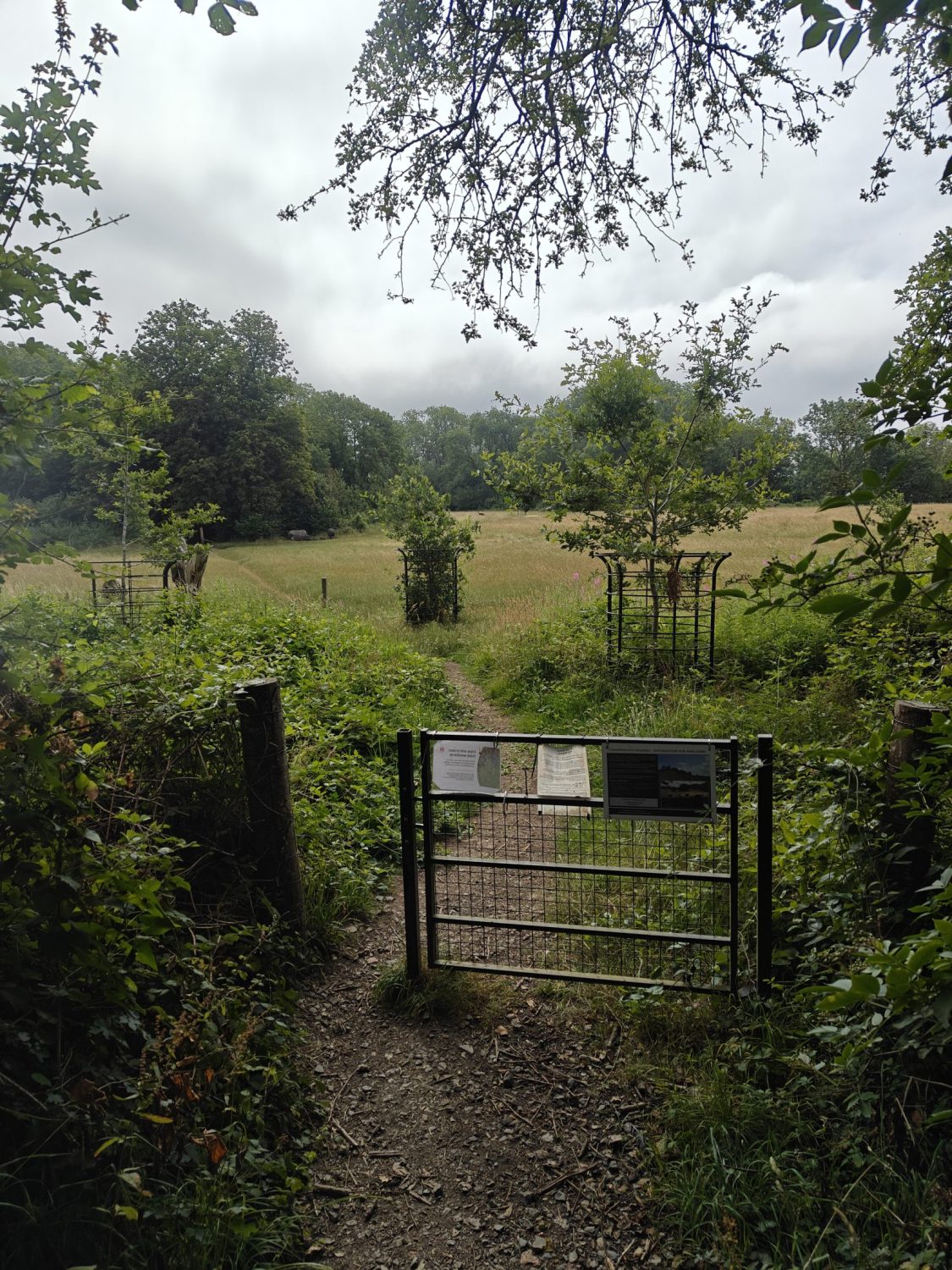 a metal gate on a path through a meadow