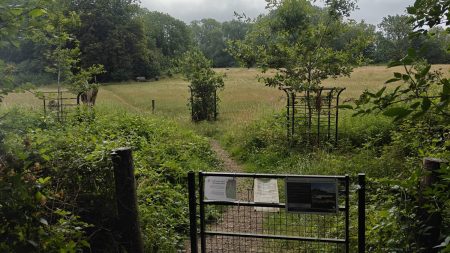 Wellbeing Walks- Summer Update
