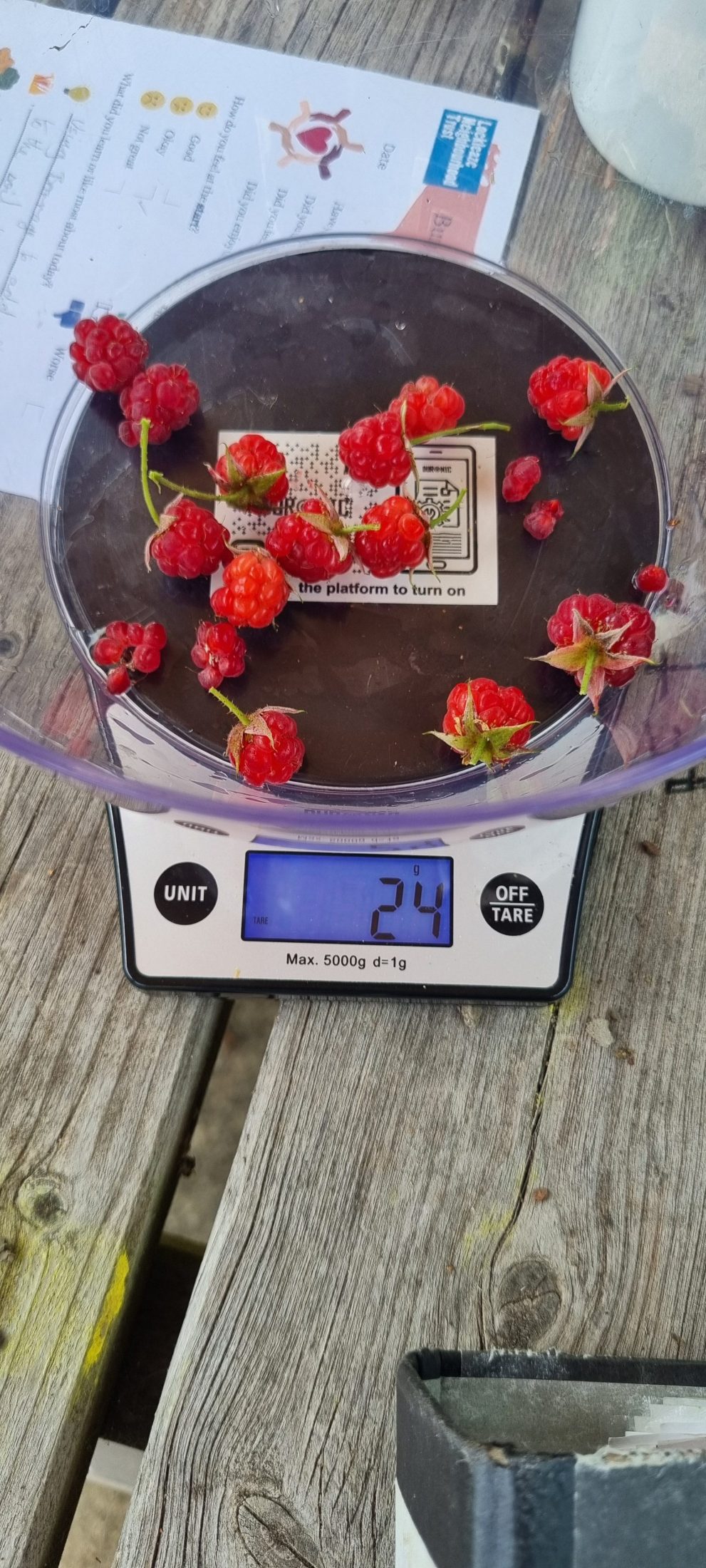 a bowl of raspberries, some with leaves, on a scale