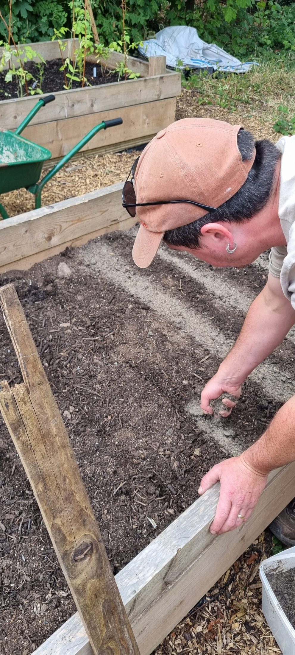 seeds are put in furrows in a raised bed