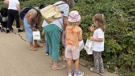 Summer Family Walks to Continue- with Play Patch