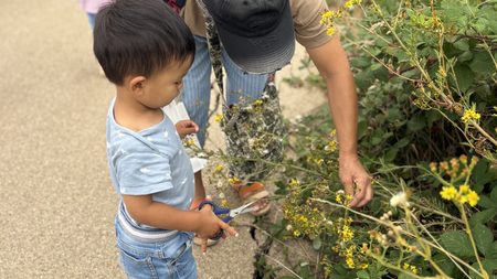 Bug Hunt! Family Walk