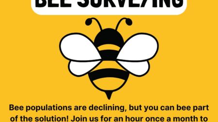 Bee Survey Group Starting Again in March