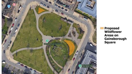 Gainsborough Square Meadow Consultation